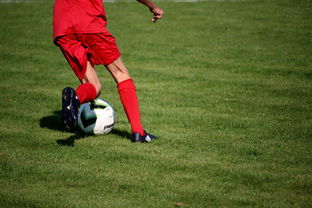 九游娱乐(jiuyou)官方网站-NBA球员技术动作进阶训练，nba球员训练方式