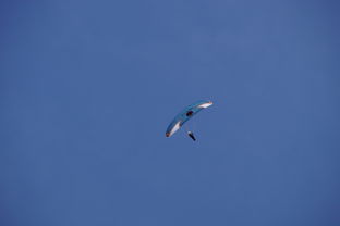 九游网-全国青少年水上滑翔锦标赛天津盛大开幕，水上滑翔机价格